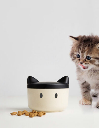 Pote Bowl Cats